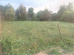 Пример покоса травы в Минске 5