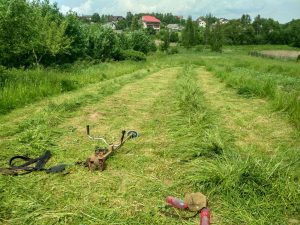 Пример покоса травы в Минске 9